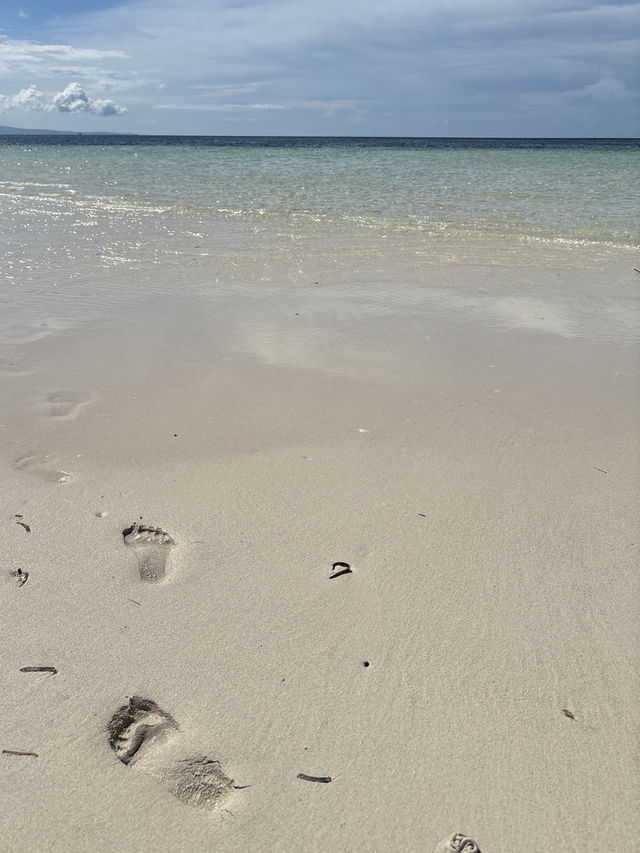 A White Sand Escape at Walakiri Beach—With Beautiful Treasures To Look At! 🏖️🐚