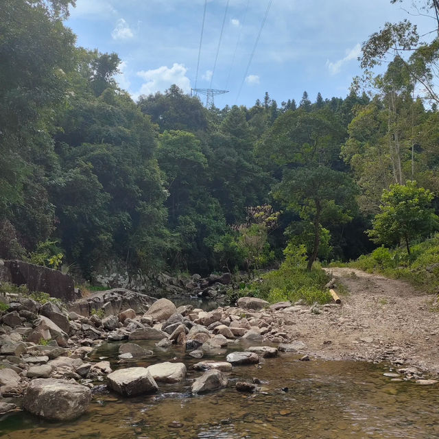 南村站營地～青山秀水