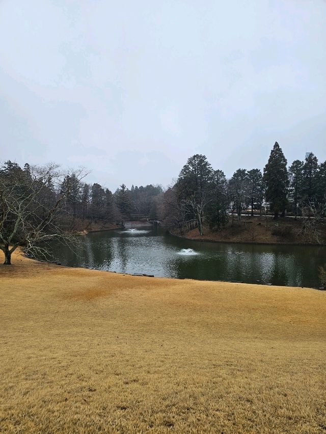 休館前に急げ！