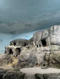 Monterey Bay Aquarium