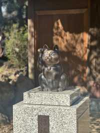 豪德寺 & 下北澤一日遊分享🐱⛩️