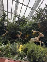 Floral Paradise - Flower Dome Singapore