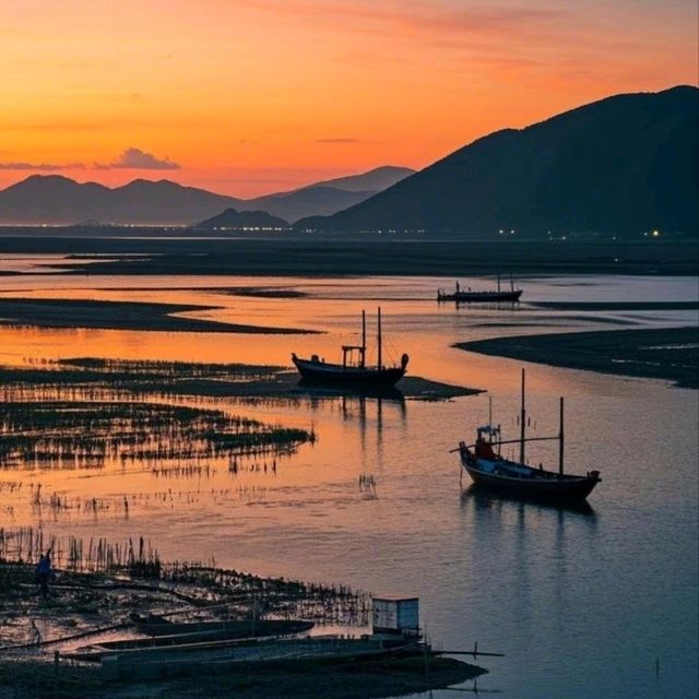 三都澳釣魷魚：海上霓虹派對