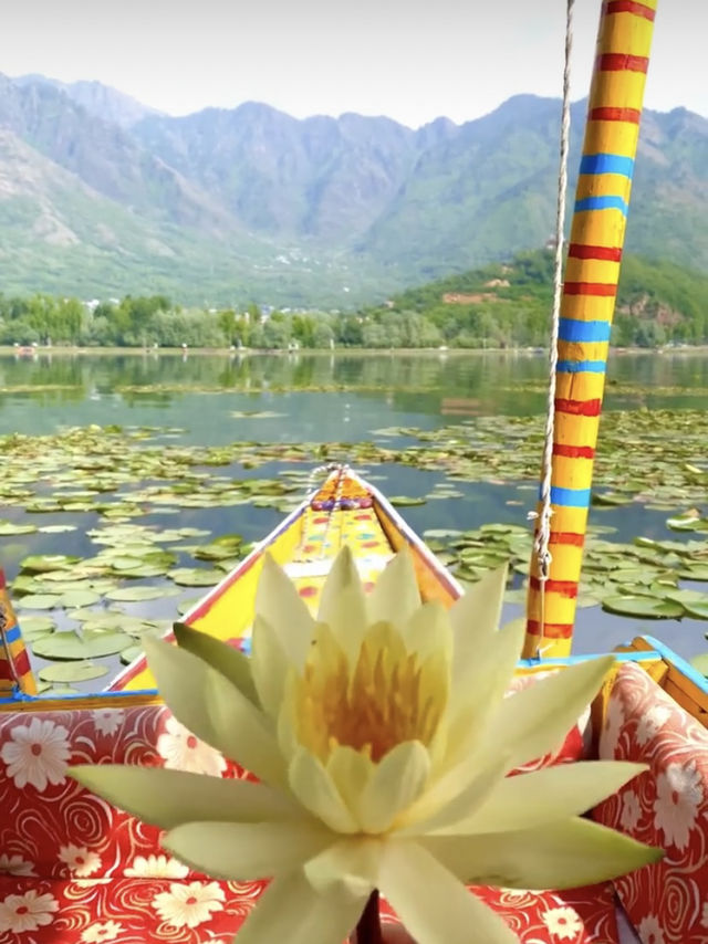 Kashmir in Spring: Where Paradise Comes to Life🌸🏔️