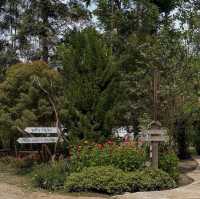 Phuean Suan Farm • Tap Ma, Rayong