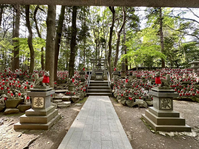 【愛知県🇯🇵豊川稲荷】