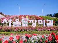 Jungnang Rose Park Rose Festival Review