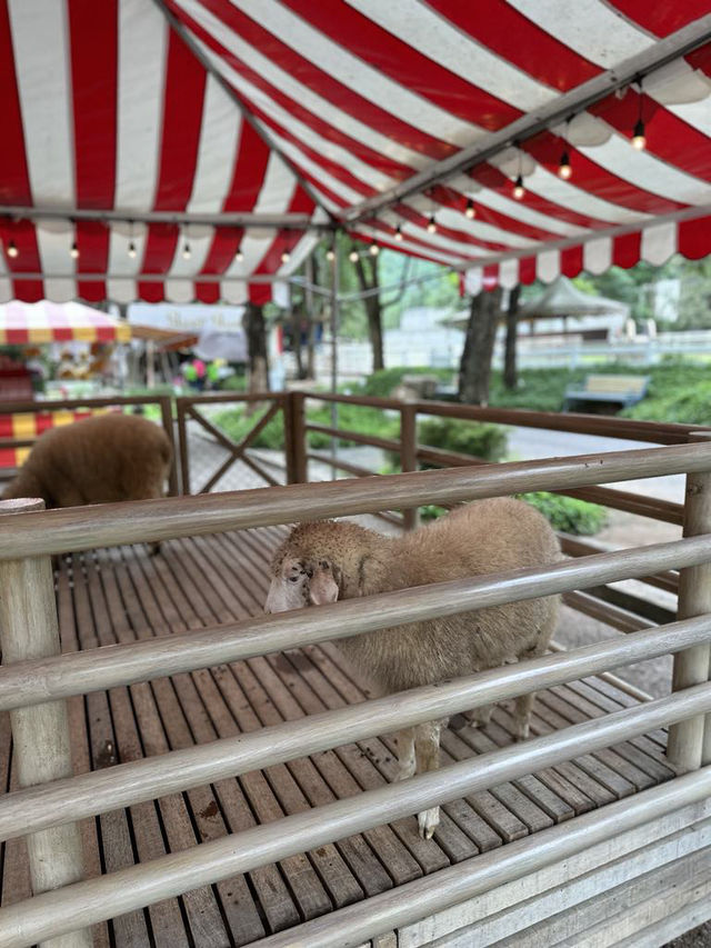 Scenery Farm! 🐑🌿