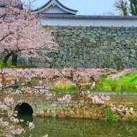 福岡