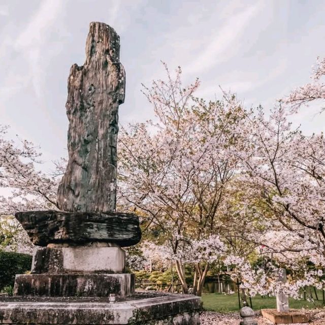 Yanagawa