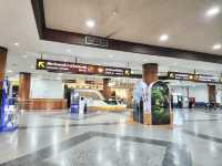 ท่าอากาศยานนานาชาติสุราษฎร์ธานี