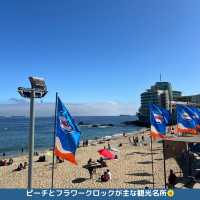 【チリ】サンティアゴからバスで約2時間！ーViña del Marー