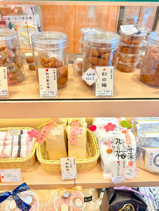 千鳥ヶ淵花見🌸近くのおすすめランチ【東京／千鳥ヶ淵】