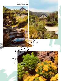 A Tranquil Botanical Retreat