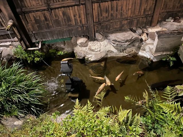 [🇯🇵黒川温泉] 自然と歴史が息づく癒しの温泉地