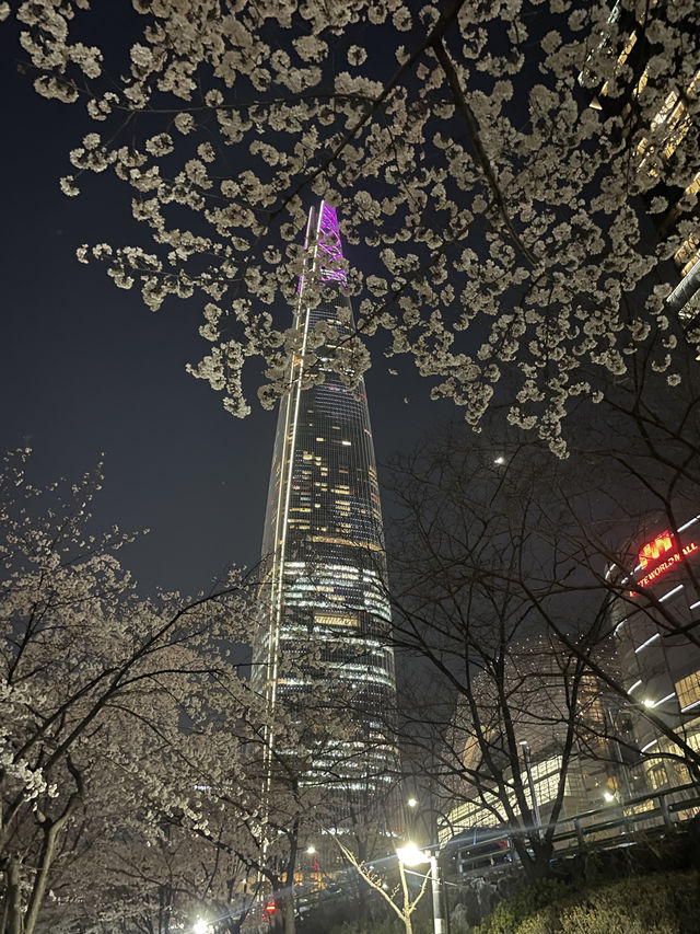 아름다운 야경과 함께하는 석촌호수 벚꽃구경🌸