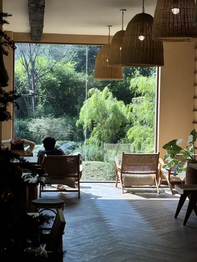 Unforgettable Moments in Chiang Mai