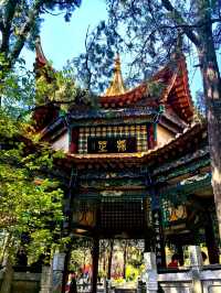 Yuantong Mountain: A Springtime Dream in Bloom