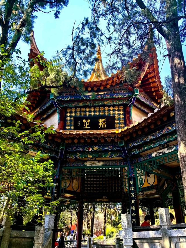 Yuantong Mountain: A Springtime Dream in Bloom