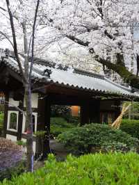 【東京×品川】