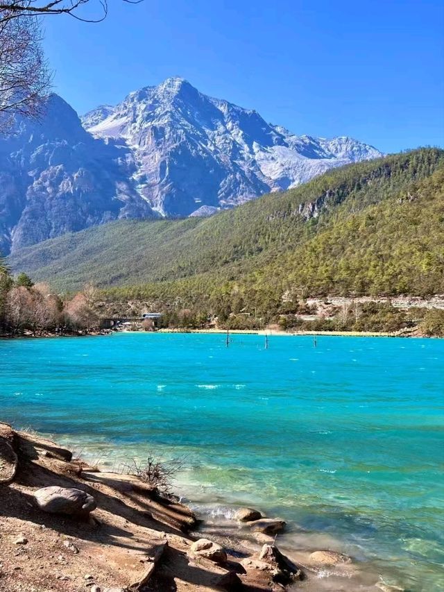 Captivating Beauty: Exploring the Wonders of Blue Moon Valley