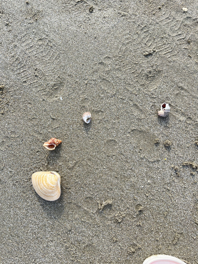 นั่งเล่นกินข้าวริมทะเลหาดบางแสนกับครอบครัว นั่งเล่นกินข้าวริมทะเลหาดบางแสนกับครอบครัว