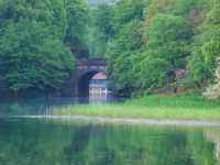 Tortoise Pond– Hangzhou's Hidden Lakeside Sanctuary