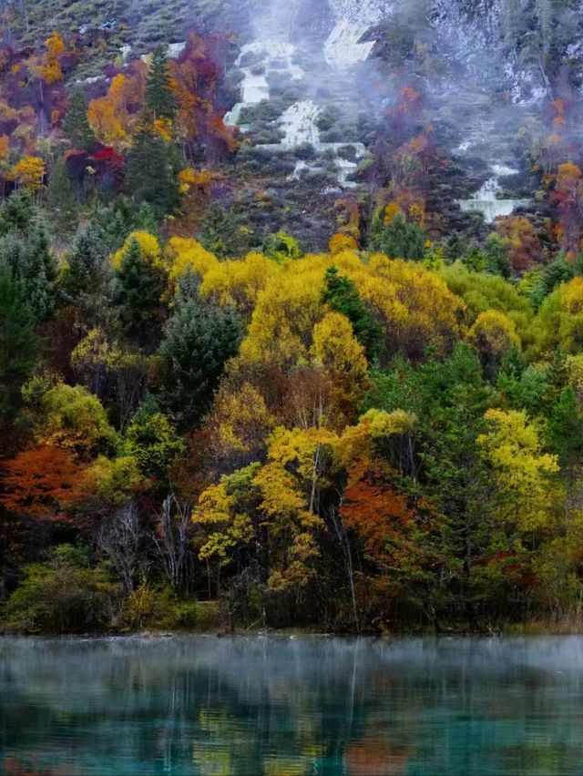 Crimson Dreams: Jiuzhaigou’s Autumn Maple Magic