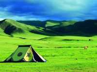Mongolian steppe