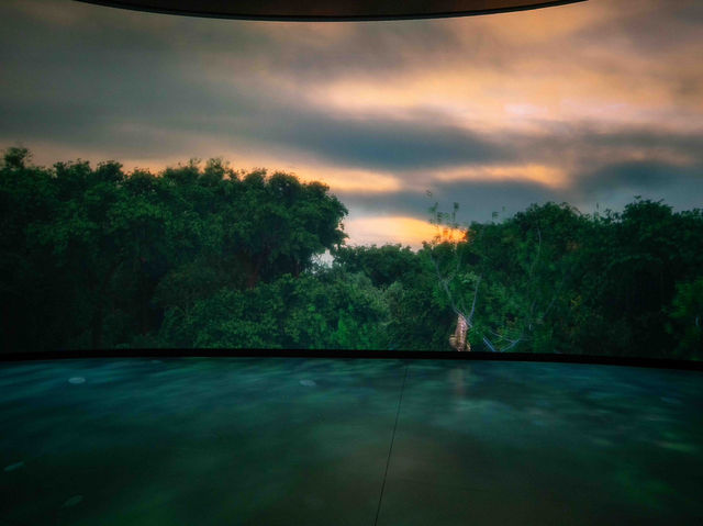 ギルダーセンターのInvisible Worlds Immersive Experienceを体験🦠💡