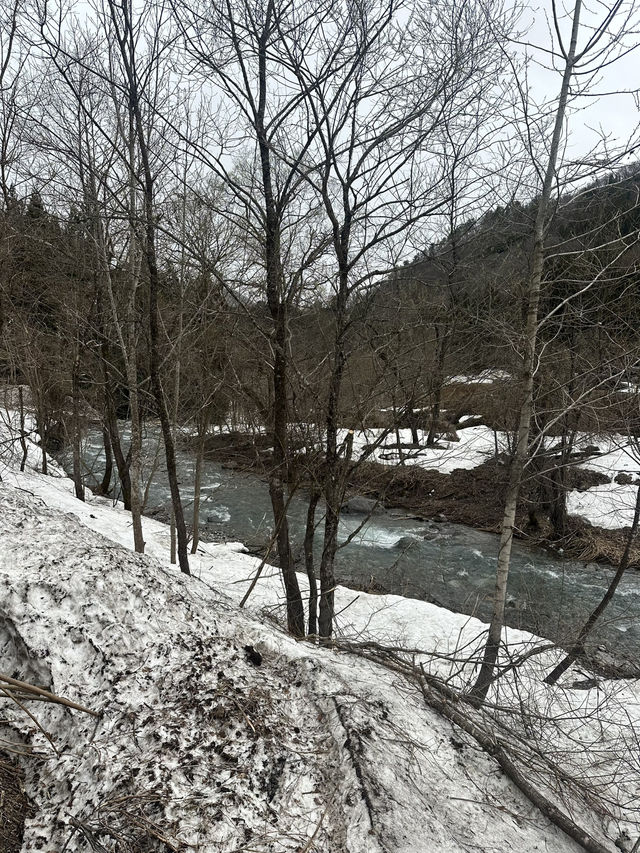 Shirakawa go - a must go