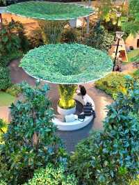DISCOVER THIS GREEN GEM IN HAMAD INTERNATIONAL AIRPORT