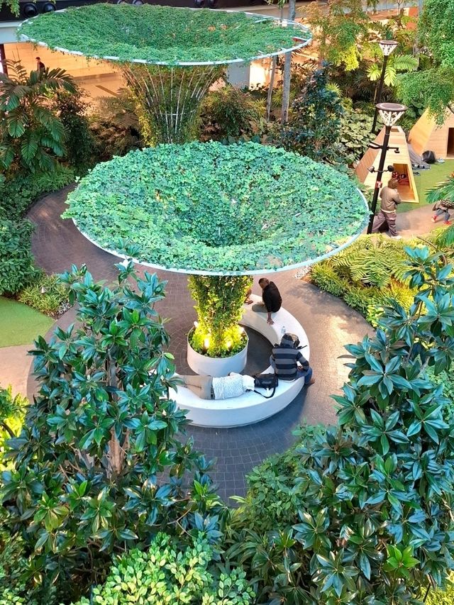 DISCOVER THIS GREEN GEM IN HAMAD INTERNATIONAL AIRPORT
