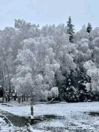 Snow-Kissed Hemu: A Hidden Gem in Xinjiang