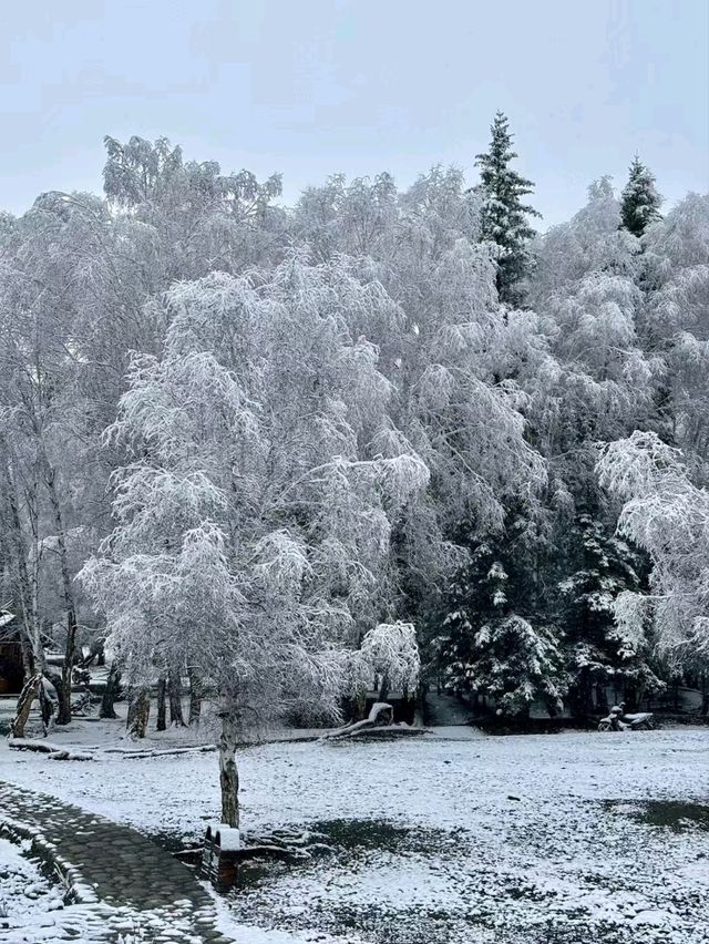 Snow-Kissed Hemu: A Hidden Gem in Xinjiang