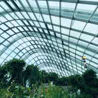 Misty Marvel: A Walk Among the Clouds 🇸🇬