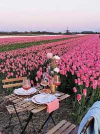 Tulip Farming