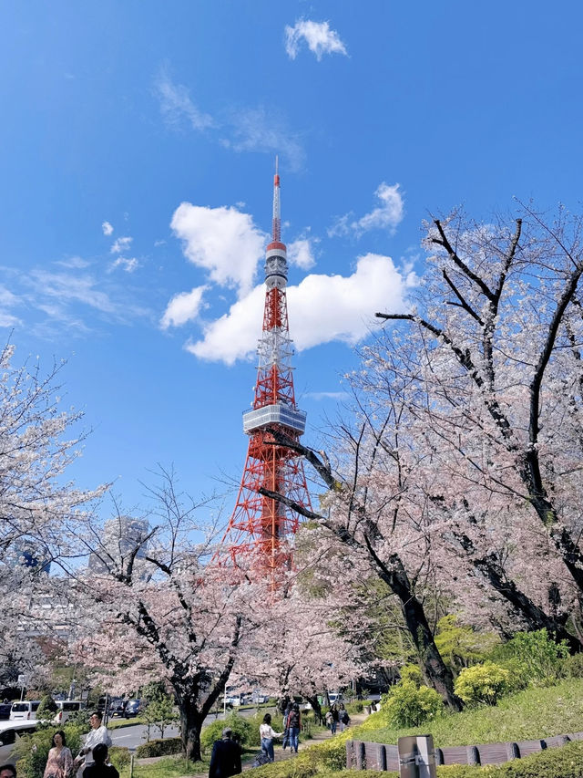 The Long-Awaited Sunny Day is Here!