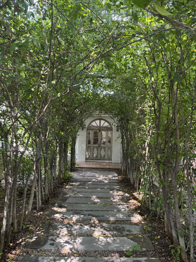 คาเฟ่ลับกลางสวนเขียว Slole Cafe & Garden โชคชัย4