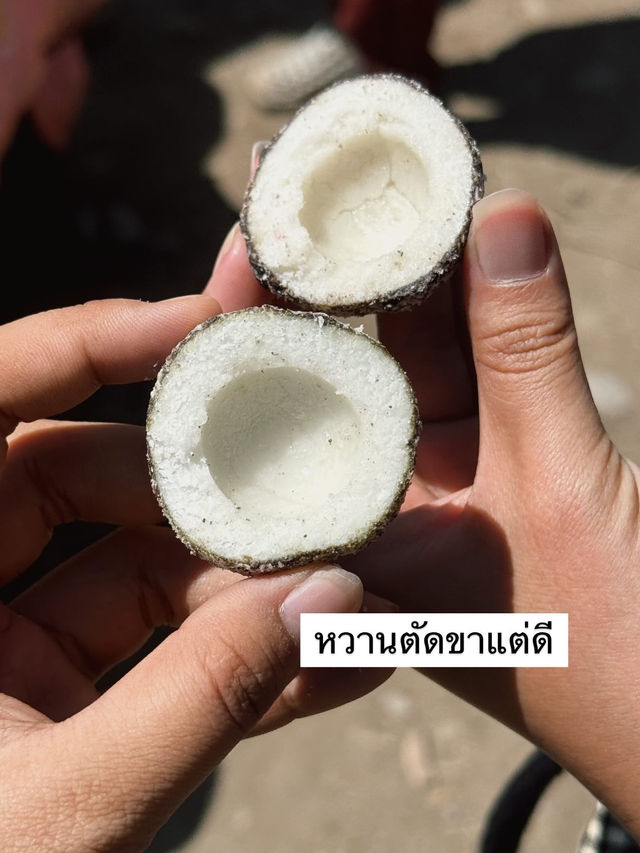 EP.3 ทริปแคชเมียร์ จะได้เป็นนักท่องเที่ยวกี่โมง 🇮🇳