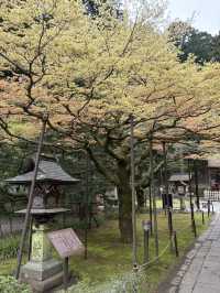 on the Way to Mt. Fuji