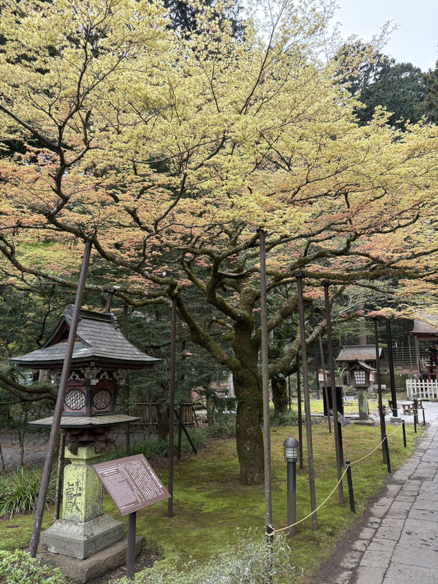 on the Way to Mt. Fuji