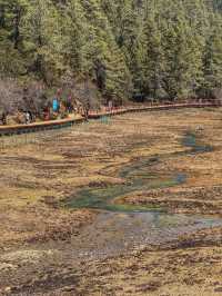 A Peaceful Escape into Nature: Discovering the Beauty of Potatso National Park (普达措国家公园)