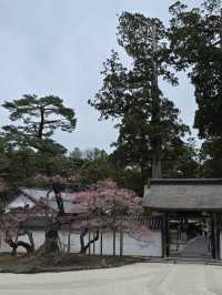 瑞巖寺-來到日本三景松島絕對不能錯過的國寶