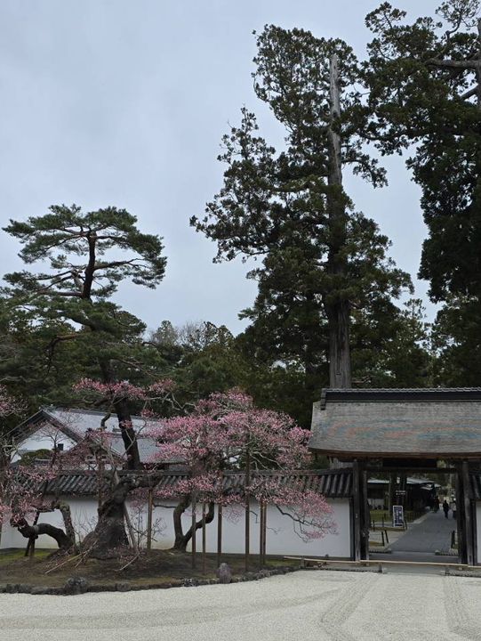瑞巖寺-來到日本三景松島絕對不能錯過的國寶
