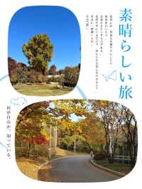 首爾市區秋景必選之一