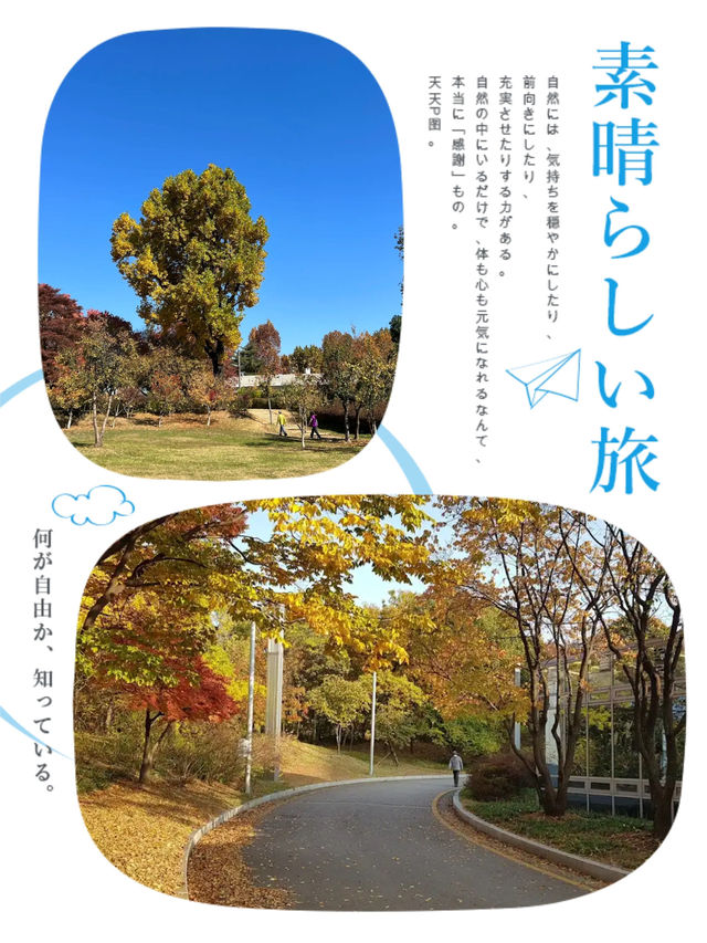 首爾市區秋景必選之一