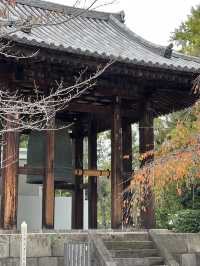 🏯 조죠지(Zojoji Temple) – 도쿄 도심 속 고요한 시간 여행