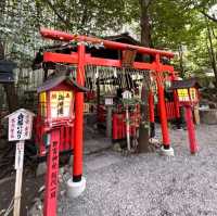 🇯🇵【京都】パワースポット！野宮神社！良縁、子宝、学問の神様♪(^^)