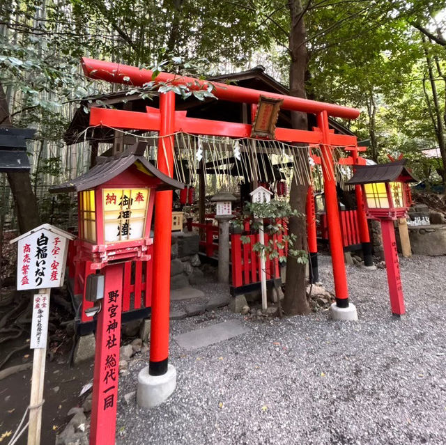 🇯🇵【京都】パワースポット！野宮神社！良縁、子宝、学問の神様♪(^^)